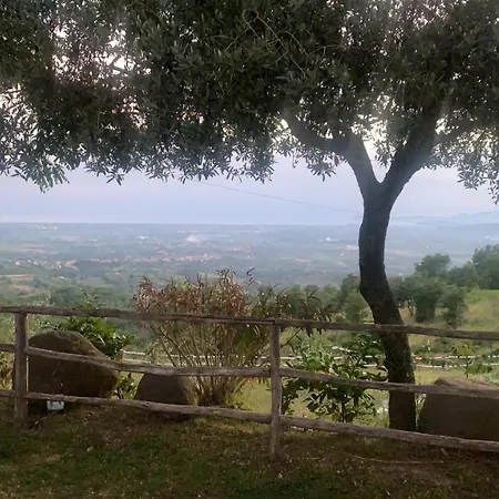 ホテル La Roccia Restaurant